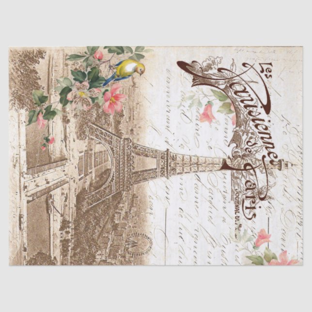 Seda Primavera no lenço de papel de Paris Decoupage (Frente )