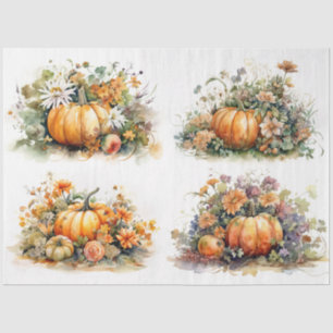 Seda Pumpkins e Florais colidem 1 papel de dissociação