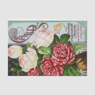 Seda Rosas de 1899 Papel antigo com Tecido Impressão