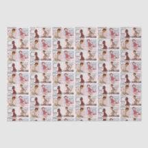 Se As Banheiras Pudessem Falar De Papel Tecido