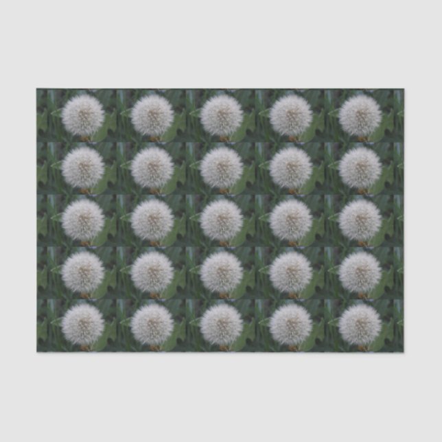 Seda Sedendo Papel De Tecido Da Flor Dandelion (Frente )