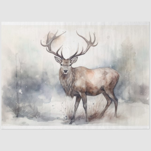 Seda Traço no papel de dissociação da neve 1 (Frente )