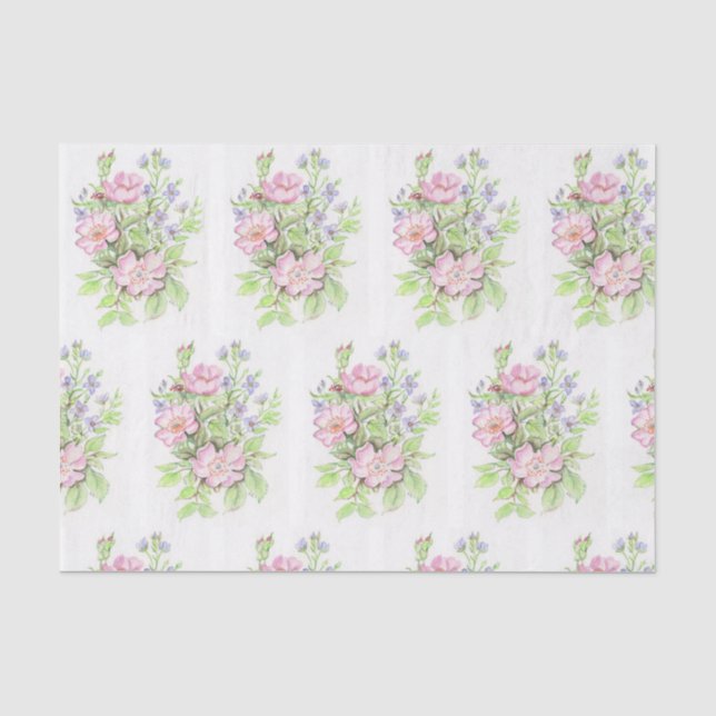Seda Um melhor design mundial de papel de tecidos (Frente )