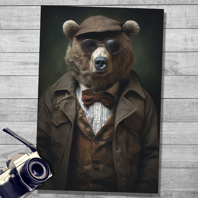 Seda Urso no Papel de Decoupage de Vestuário 3 de Caval (Criador carregado)