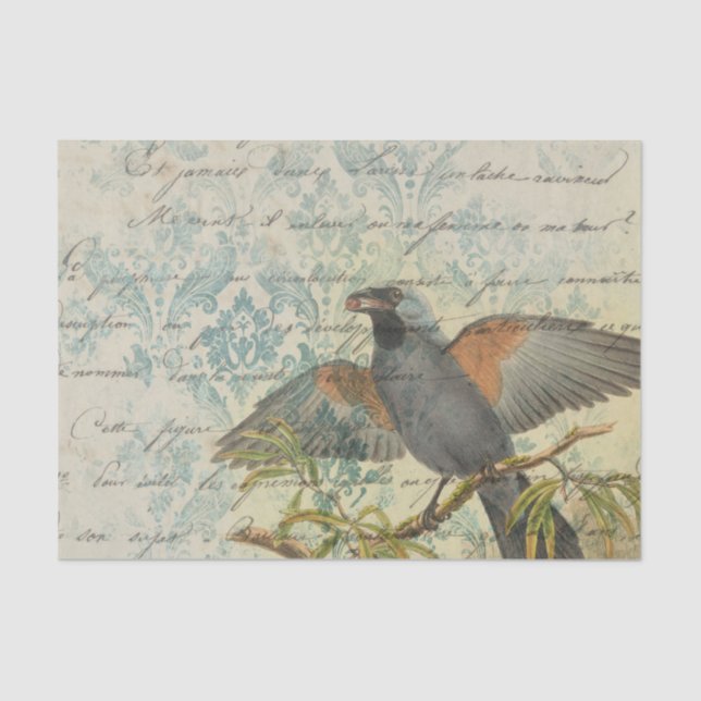 Seda Vintage Bird Ephemera - Papel Tecidual de Decoupag (Frente )
