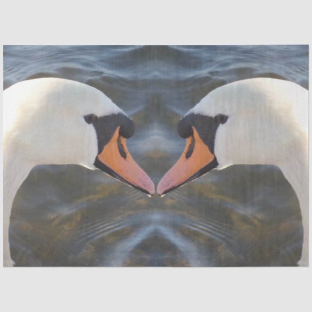 Seda White Swans - Papel de Tecido (Frente )