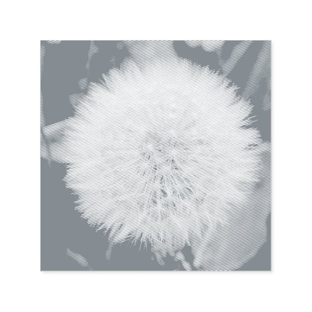 Sedendo Carimbo De Autoscolagem Da Flor Dandelion (Design)