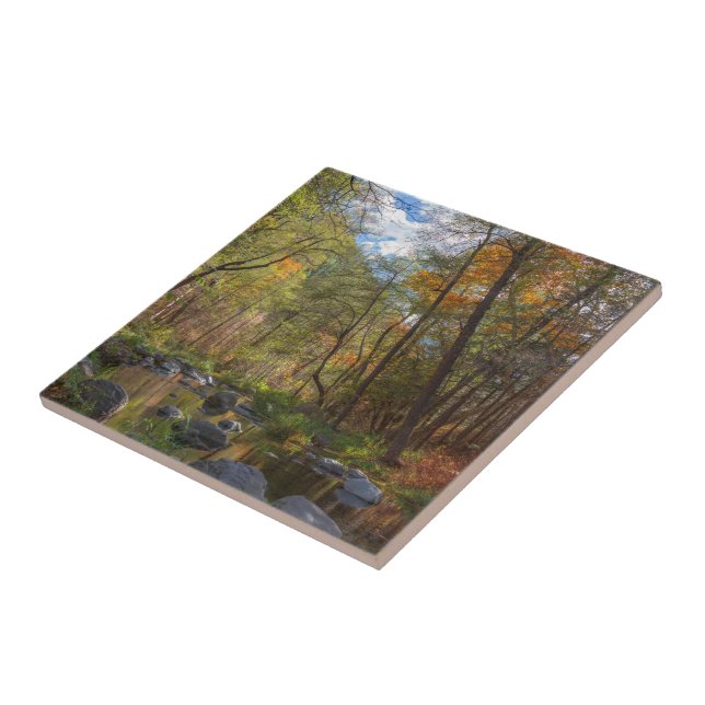 SEDONA ARIZONA STREAMING OUTRO DIA (Lateral)