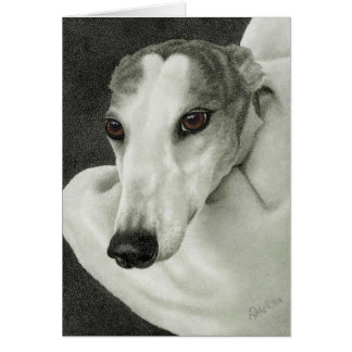 "Segurança" - Cartão Greyhound