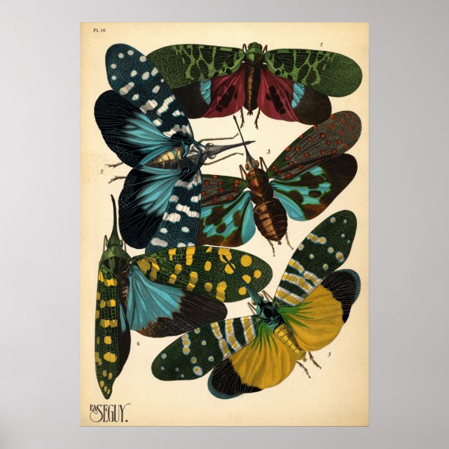 Seguy Art Noveau Vintage Lanternfly Poster (Frente)