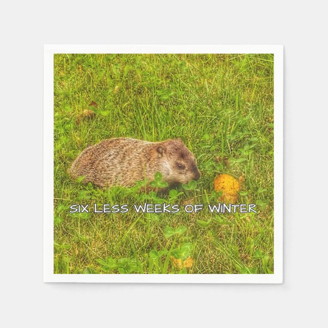 Seis semanas a menos de guardanapos de inverno (Frente)