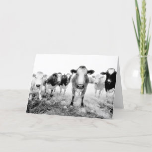 Seis Vacas - Cartões Saudáveis