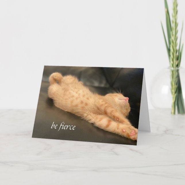 Seja Belo Cartão Laranja Gengibre Gengibre Gólido  (Frente)