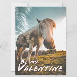 Seja meu namorado com cavalo olhando