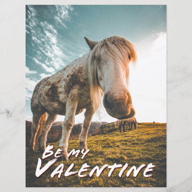Seja meu Valentim com cavalo olhando (Frente)