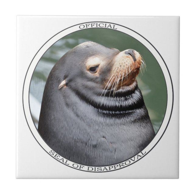 Selante de Desaprovação Cerâmica Coaster (Frente)