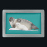 Selo de anéis<br><div class="desc">Uma mãe Ringed Seal e um filhote em um chão de gelo. Tal como acontece com os Ursos Polares que os presenciam, mamíferos marinhos como o Ringed Seal são ameaçados pelas alterações climáticas no conjunto de gelo do Árctico. Nomeado para as marcas em forma de anel em seus casacos, o...</div>