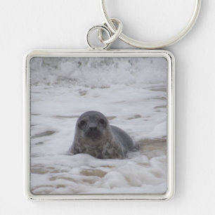 Selo - Imagem Animal Premium Square Chaveiro