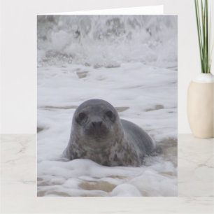 Selo - Impressão de Foto Animal - Cartão de Saudaç