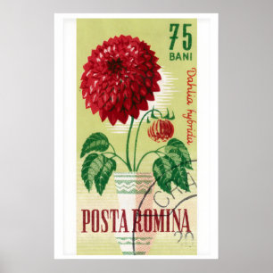 Selo Postal Romeno Impressão Flor de Dália Vermelh