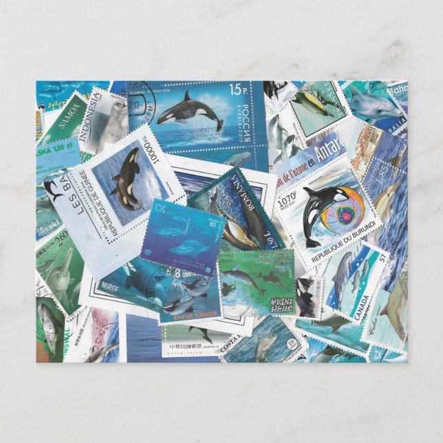 selos de golfinhos cartão postal (Frente)
