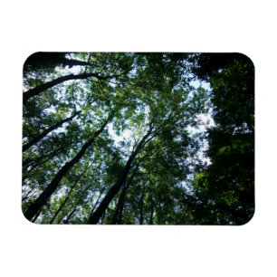 Selva 3"" ímã x4