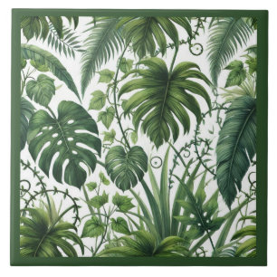Selva Tropical