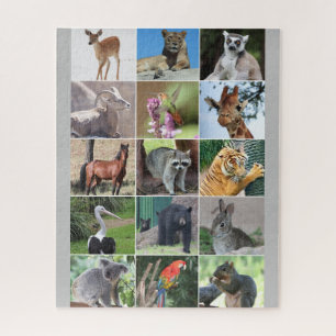Selvagem 15 Animais Picados na Quebra-cabeça selv