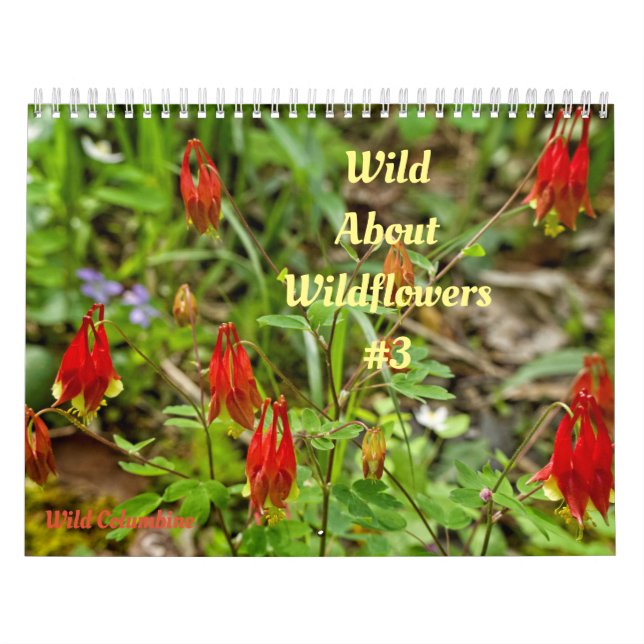 Selvagem Abourt Wildflower #3 Calendário (Capa)