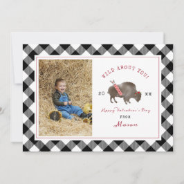 Selvagem Sobre Seu Namorados De Foto De Buffalo Cu