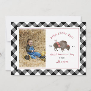 Selvagem Sobre Seu Namorados De Foto De Buffalo Cu