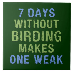 Sem Birding um fraco