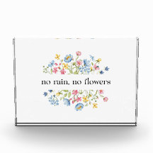 Sem Chuva, Sem Flores |