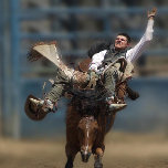 " SEM DOR - SEM GANHO "! Impressão em Tela<br><div class="desc">" SEM DOR - SEM GANHO "! Impressão de tela estendida ( LARGE )40X55" Se você ama a ação Rodeo, a equitação de bronco é o evento de equitação de 8 segundos que coloca a competição e a experiência do cavalo e do cavaleiro para ver se o cavaleiro pode ficar...</div>