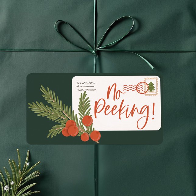 Sem Etiqueta de Envelope de Destaque de Entrega Es (No Peeking Special Delivery Postage Envelope Label)