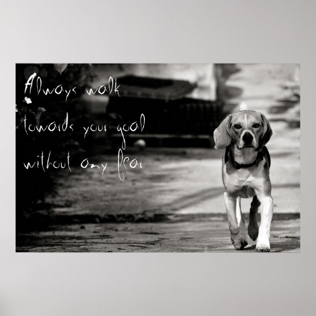 Sem medo - Poster (Frente)