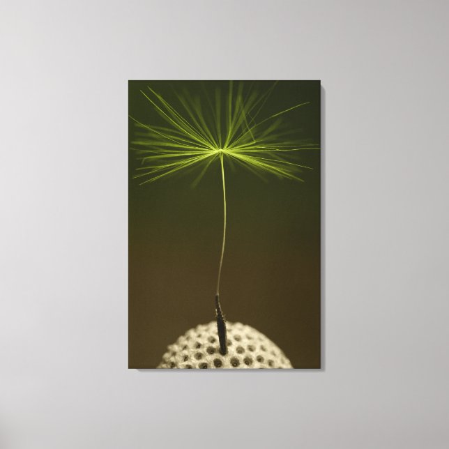 Semente de uma foto de Dandelion na Canvas (Frente)