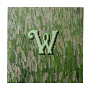 Sementes De Grãos Verdes Altas