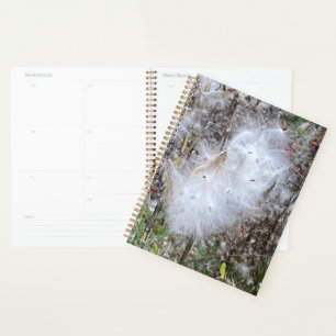 Sementes de Milkweed e Planejador de Seda