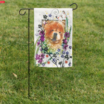 SEMENTES DE VARIAÇÃO DA Vaca vermelha