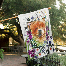 SEMENTES DE VARIAÇÃO DA Vaca vermelha