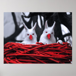 Sementes na Poster de areia