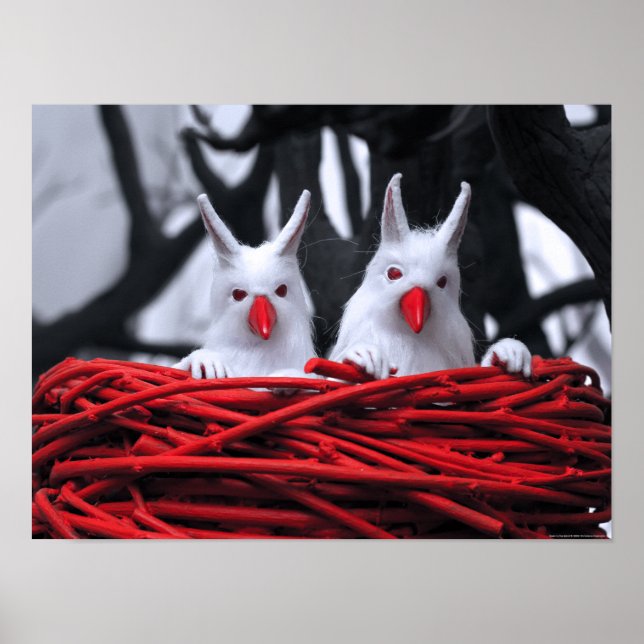 Sementes na Poster de areia (Frente)