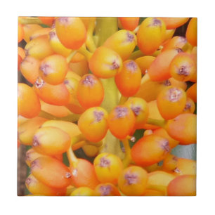 Sementes Pequenas (4,25" x 4,25") Azulejo fotográf