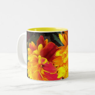 Sempre na caneca do cravo-de-defunto da flor