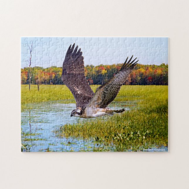 "Senhor do Marsh" Quebra-cabeça (Horizontal)