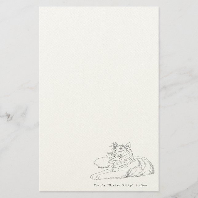 Senhor Gatinho Gato Artigos de papelaria (Frente)