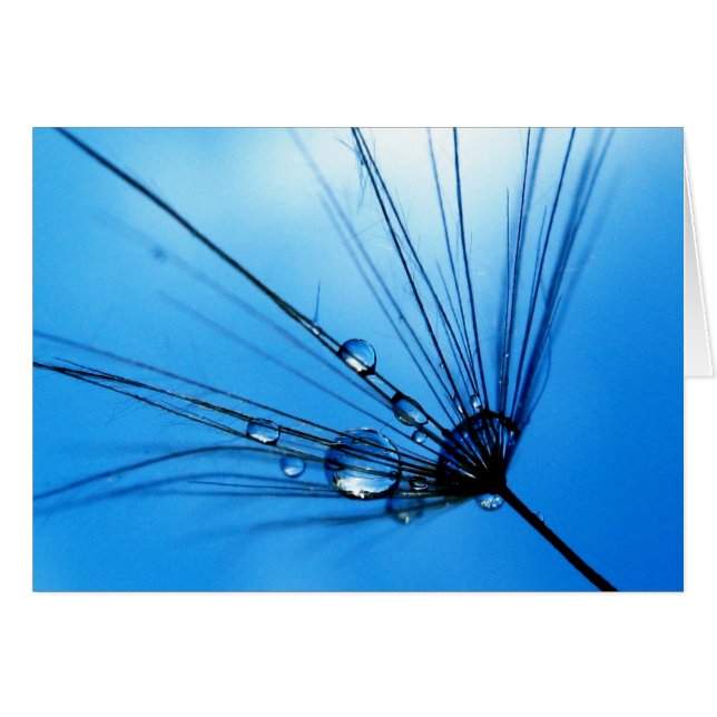 Senhora Canto Azul Cartão (Frente Horizontal)