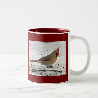 Senhora Cardinal na caneca da neve