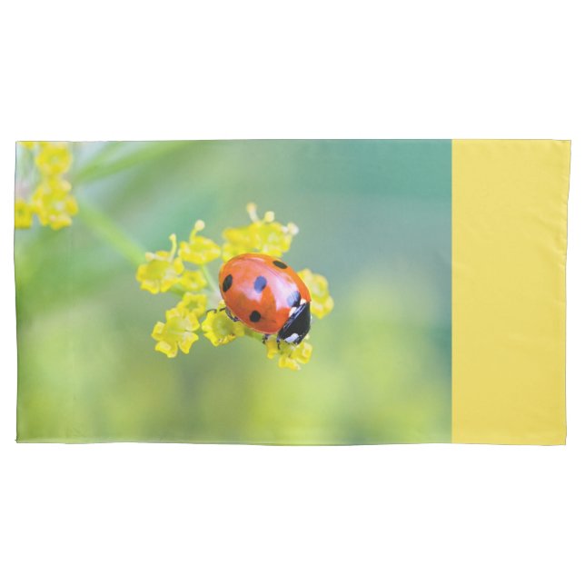 senhora no topo (Frente)